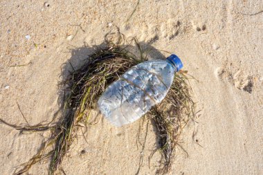 Sahilde ki kumda yosun arasında plastik şişe. Okyanuslar kavramının plastik kirliliği.