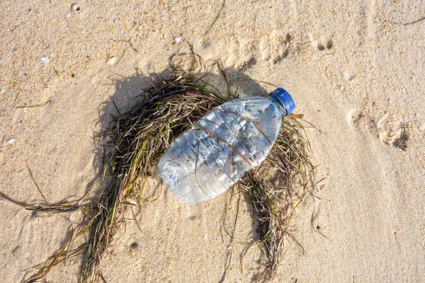 Műanyag Palack Között Hínár Strandon Homok Óceánszennyezés Műanyag Szennyezése — Stock Fotó