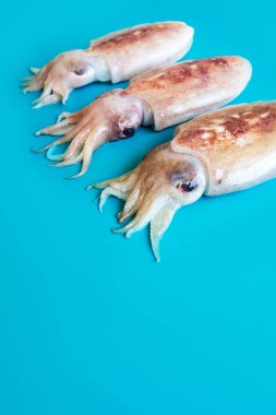 Mavi arka planda çiğ chopitos veya küçük mürekkep balığı