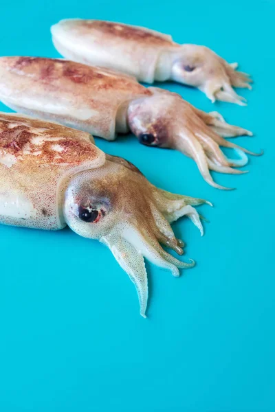 Raw Chopitos Little Cuttlefish Blue Background — Stock Photo, Image