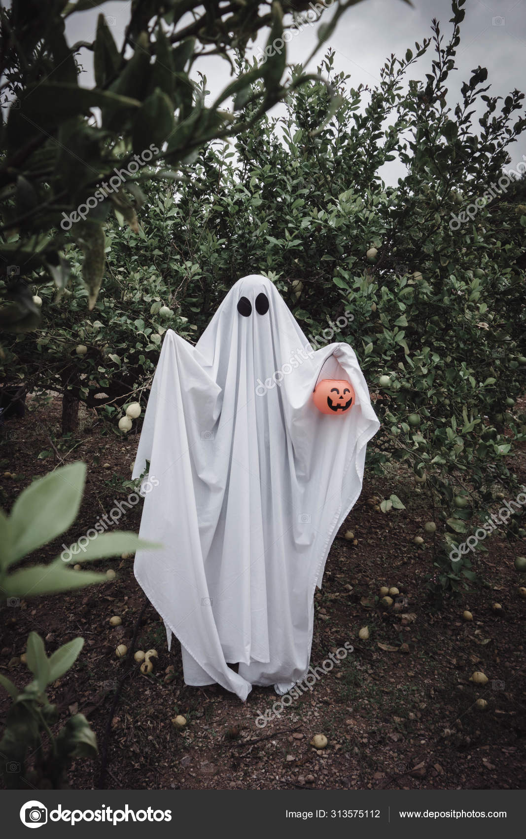 Stun prison Uncertain Ghost Covered White Ghost Sheet Forest Halloween Pumpkin Candy Jar Stock  Photo by ©joseyyoestudio.gmail.com 313575112