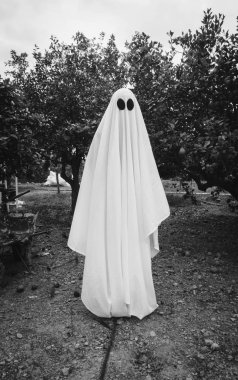Hayalet, ormanda beyaz bir hayalet örtüsüyle kaplanmış. Cadılar Bayramı Konsepti