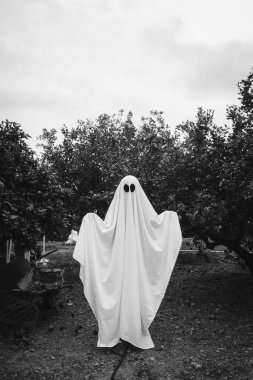 Hayalet, ormanda beyaz bir hayalet örtüsüyle kaplanmış. Cadılar Bayramı Konsepti