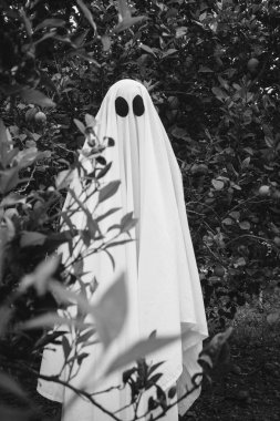 Hayalet, ormanda beyaz bir hayalet örtüsüyle kaplanmış. Cadılar Bayramı Konsepti