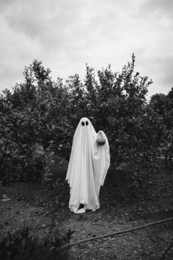 Cadılar bayramı şekerleme kavanozu olan bir ormanda beyaz bir hayalet örtüsüyle kaplanmış bir hayalet. Cadılar Bayramı Konsepti