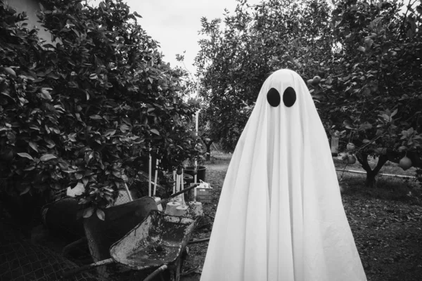 Fantasma Cubierto Con Una Sábana Blanca Fantasma Bosque Concepto Halloween —  Fotos de Stock