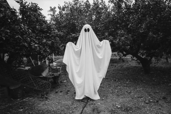 Ghost Covered White Ghost Sheet Forest Halloween Concept — Stock Photo, Image