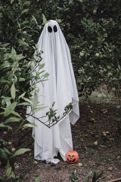 Ghost Covered White Ghost Sheet Forest Halloween Pumpkin Candy Jar — Stock Photo, Image