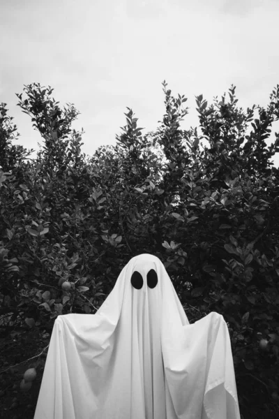 Fantôme Couvert Drap Fantôme Blanc Sur Une Forêt Concept Halloween — Photo