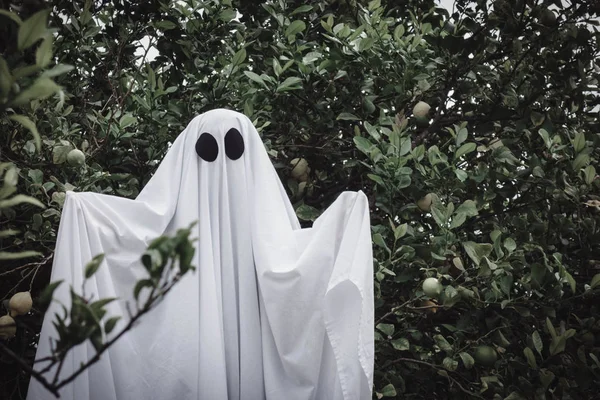 Fantôme Couvert Drap Fantôme Blanc Sur Une Forêt Concept Halloween — Photo