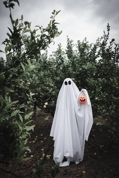 Fantôme Recouvert Drap Fantôme Blanc Sur Une Forêt Avec Pot — Photo