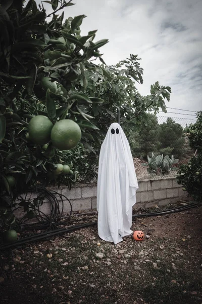 Fantôme Couvert Drap Fantôme Blanc Sur Une Forêt Concept Halloween — Photo
