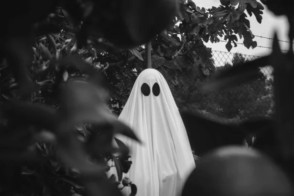 Fantasma Cubierto Con Una Sábana Blanca Fantasma Bosque Concepto Halloween — Foto de Stock