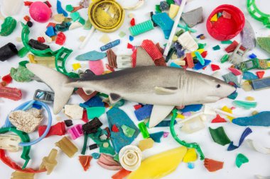 Toy shark over microplastics collected on the beach. Plastic pollution concept. clipart