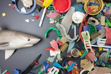 Oyuncak köpekbalığı ve mikro plastik plastikler sahilde toplandı. Plastik kirliliği kavramı.
