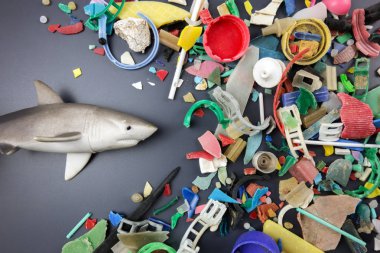 Oyuncak köpekbalığı ve mikro plastik plastikler sahilde toplandı. Plastik kirliliği kavramı.