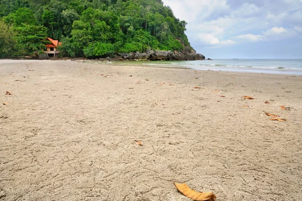 在泰国春蓬府 Pathio 区的沙滩上的幽灵或沙蟹洞穴 白色沙滩 黄叶和岩石石灰岩悬崖 — 图库照片