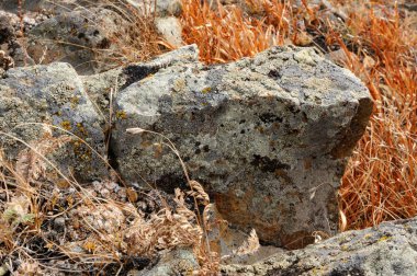Khakassia, Rusya'nın pürüzsüz tepelerde sarı sonbahar çim çevrili liken kaplı kaya taşları