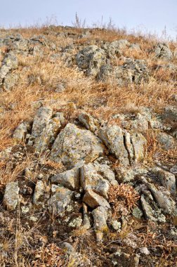 Khakassia, Rusya'nın pürüzsüz tepelerde sarı sonbahar çim çevrili liken kaplı kaya taşları