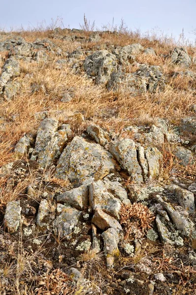 Felssteine Mit Flechten Umgeben Von Gelbem Herbstgras Auf Glatten Hügeln — Stockfoto
