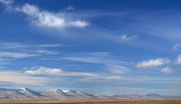 Winterlandschap Met Een Soepele Heuvels Bedekt Met Een Geel Droog — Stockfoto