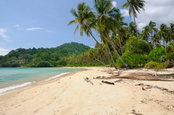 Tropische Landschaft Mit Einsamen Bernstein Sandstrand Kokospalmen Und Türkisfarbenem Tropischem — Stockfoto