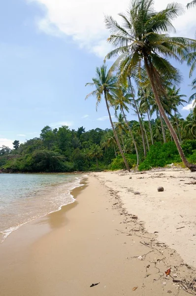 Tropische Landschaft Mit Einsamen Bernstein Sandstrand Kokospalmen Und Türkisfarbenem Tropischem — Stockfoto