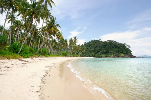泰国特拉省热带象岛上的热带琥珀色沙滩 椰子树和绿松石热带海洋的热带景观 — 图库照片