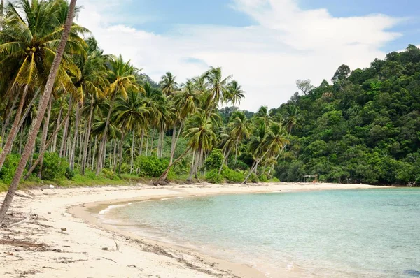 捨てられた琥珀色の砂のビーチ 椰子の木と熱帯チャン島タイのトラート県にターコイズ ブルーの熱帯の海と熱帯の風景 — ストック写真