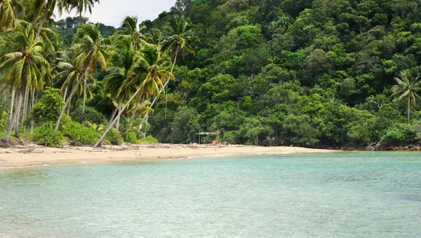 Tropical Landscape Deserted Amber Sand Beach Coconut Palm Trees Turquoise — Stock Photo, Image