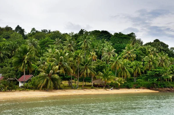 Tropische Landschaft Mit Bernsteinfarbenem Sandstrand Felsen Kokospalmen Und Türkisfarbenem Tropischem — Stockfoto