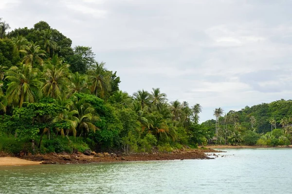 琥珀色の砂のビーチ 椰子の木やタイのトラート県のチャン島のターコイズ ブルーの熱帯海の熱帯の風景 — ストック写真