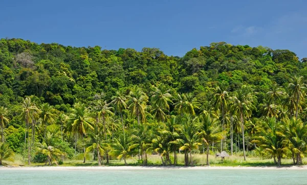 Einsamer Tropischer Strand Mit Kokospalmen Und Weißem Sand Unter Blauem — Stockfoto