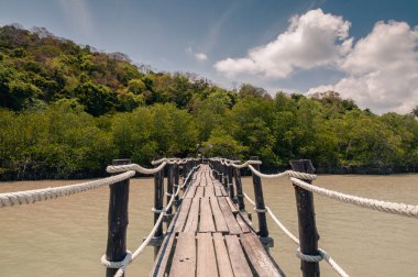 Tayland 'ın Nakhon Si Thammarat bölgesindeki Talet Körfezi' ndeki ahşap iskele ve mangrov ormanları..