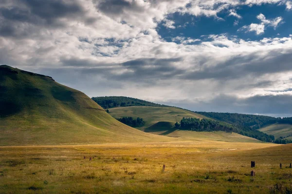 Grass Dombok Borított Fák Sztyepp Alatt Látványos Felhők Naplementekor Khakassia — Stock Fotó