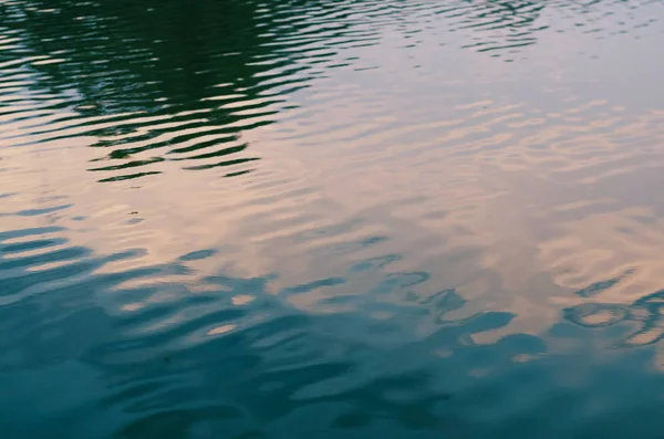 Reflexão do céu azul e folhagem verde na água — Fotografia de Stock