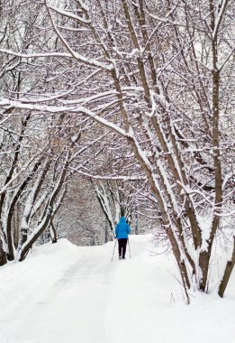 Karla kaplı parkta kış yürüyüş. Temiz hava.