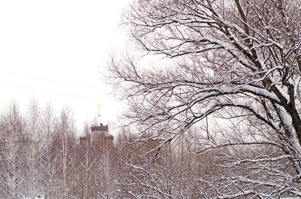 Зимняя прогулка в заснеженном парке. Свежий воздух
.