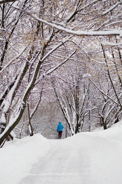 Зимняя прогулка в заснеженном парке. Свежий воздух
.