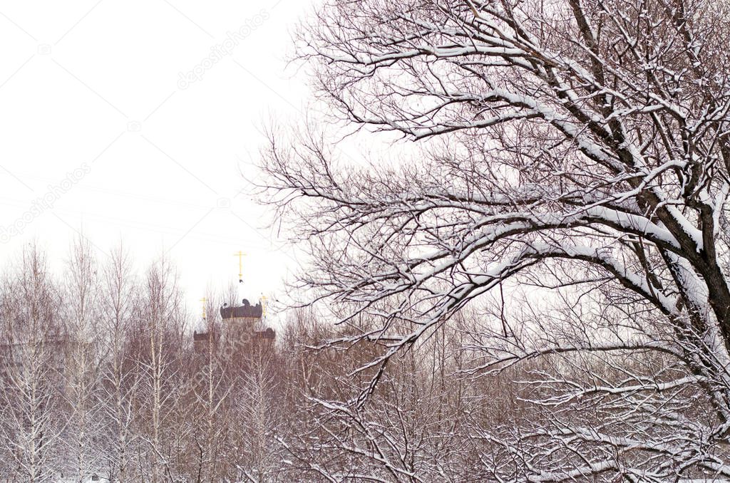 Winter walk in the snow-covered Park. Fresh air.