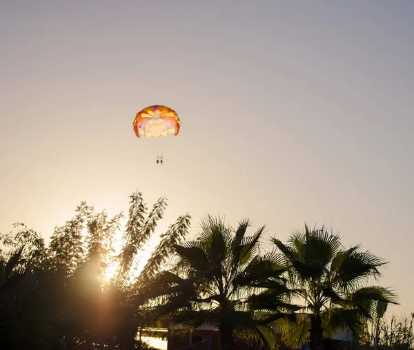 Tatil beldesi. Palmiyeler, güneş setleri skydiver gökyüzü