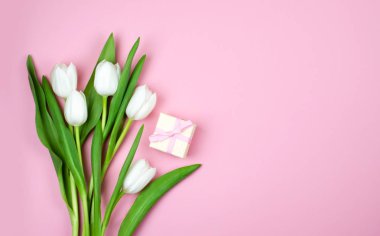 Pembe bir arka plan üzerinde hassas Beyaz Lale. Biryer tasarımınız için.