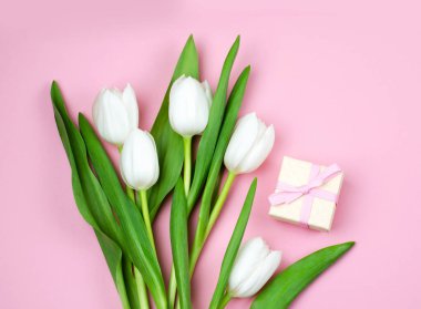 Pembe bir arka plan üzerinde hassas Beyaz Lale. Biryer tasarımınız için.