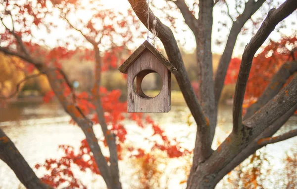 Foto de otoño con hojas anaranjadas y rojas. Alimentador de aves . —  Fotos de Stock