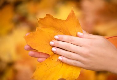 Düzgün manikürlü eller. Genç bir kızın elleri.