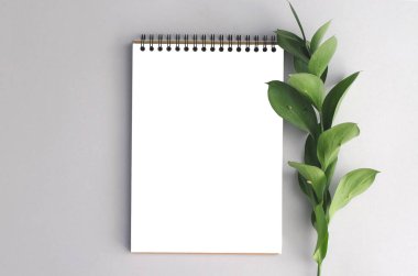 Not defteri ile gri arka plan üzerinde doğal yeşil dal ile bırakır. Metin veya logo için bir yer var..