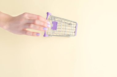 Bir el arabası alışveriş bir minyatür ile.