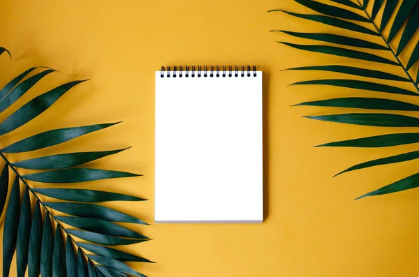 Turuncu bir arka plan üzerinde izole notepad ile palmiye yaprakları.