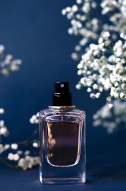 Siyah bir zemin üzerine parfüm bir kavanoz ile canlı gypsophila birçok twigs.