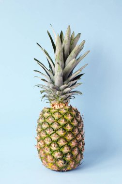 Ananas dilim mavi bir arka plan üzerine kapatın. Metin için bir yer. Yaratıcı minimalizm.